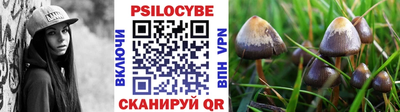 блэк спрут   Ярославль  Галлюциногенные грибы прущие грибы 