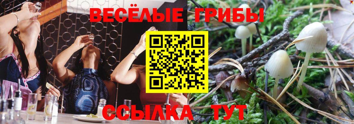 Псилоцибиновые грибы MAGIC MUSHROOMS  Вход с VPN  Ярославль 